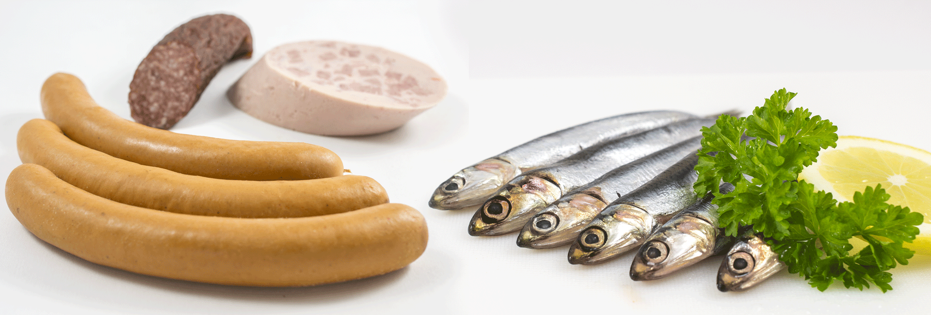 Anwendungsbereiche Fleisch & Fisch
